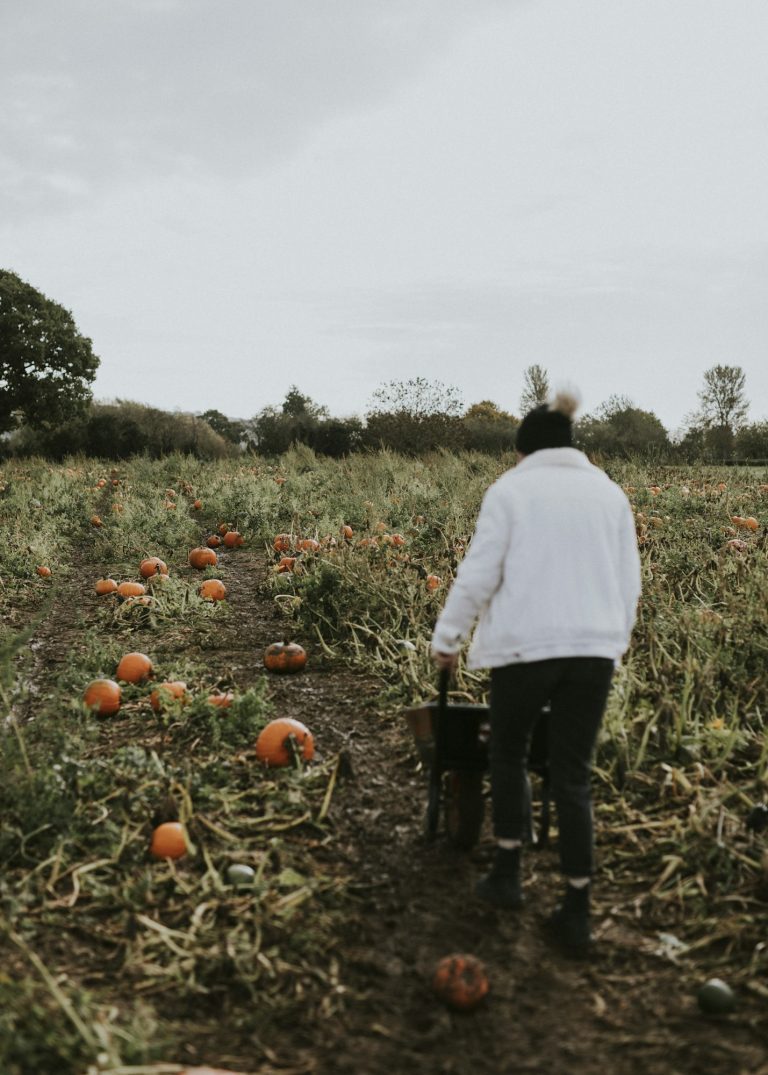 Woman at a pumpkin patch before Halloween