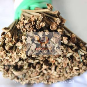 Nigerian / African Broom (igbale)